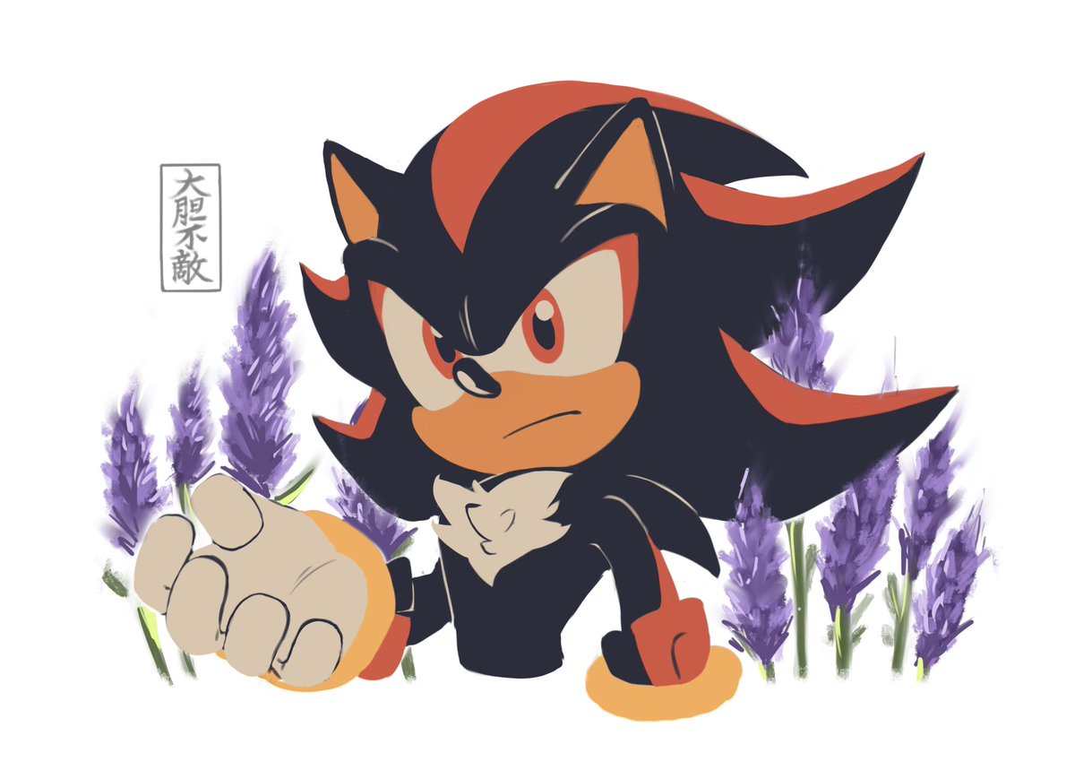 QKora01's tweet image. Lavender 💫🪻
#ShadowTheHedgehog