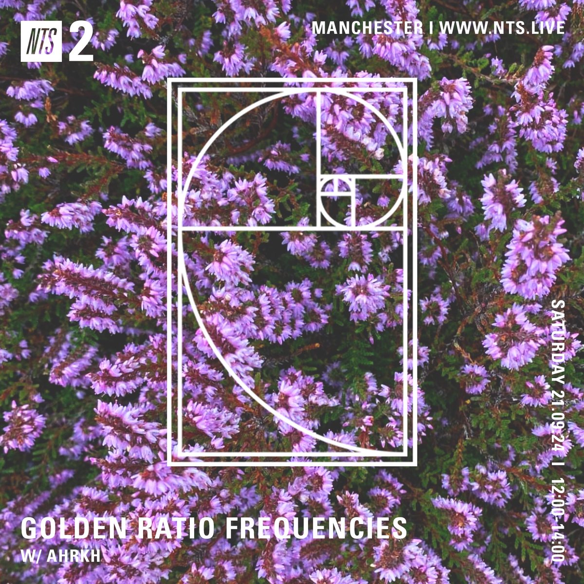 goldenratiofrequencies tweet media