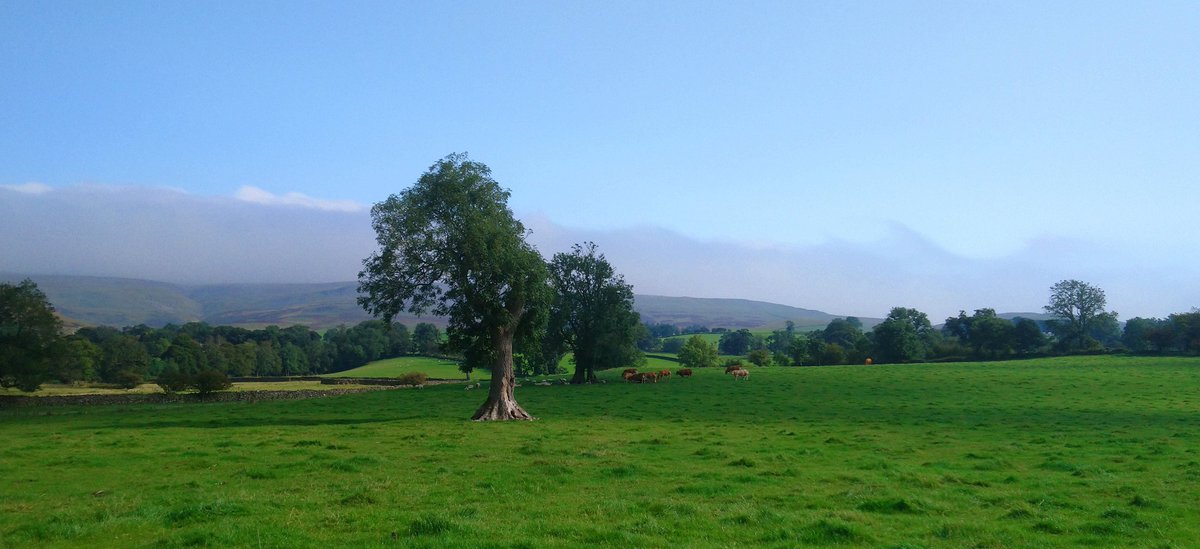 Alan M. Cole tweet media