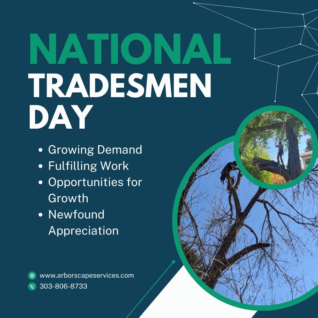ArborScape's tweet image. Trade work is crucial to our way of life and in our communities. Hire a skilled trade worker to get the job done right!

#tradesman #tradework #treeservice
