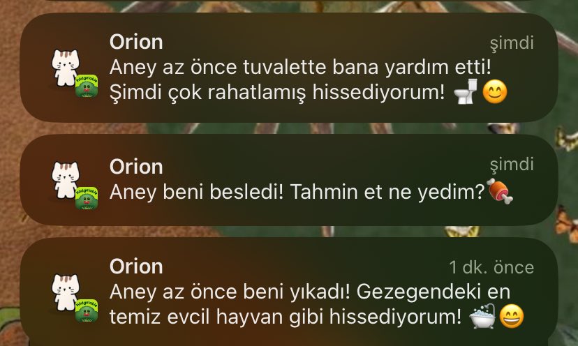 hebelehobelee's tweet image. #widgetable birlikte hayvan besleyebileceğimiz bi manit olmasa da kankalar sağolsun ya🥹