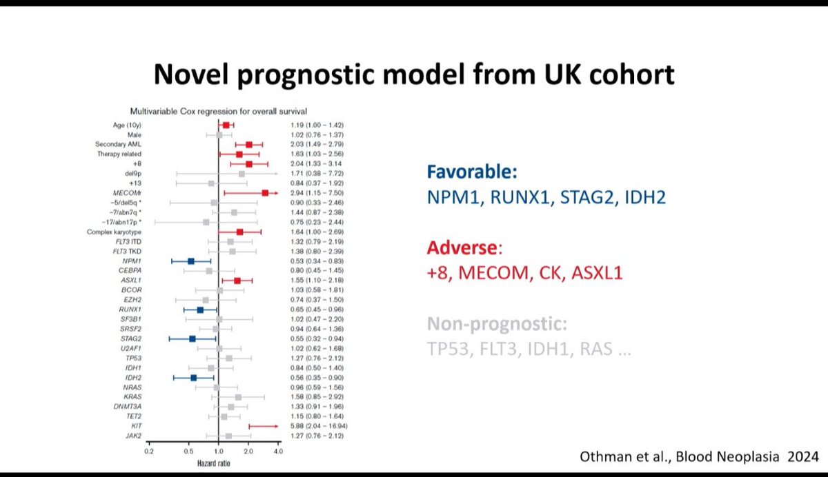 TalhaBadarMD's tweet photo. #IACH2024 @TheIACH
Christoph Röllig, presents risk stratification in elderly AML. #lesum #AML https://t.co/iOVkOgrXyc