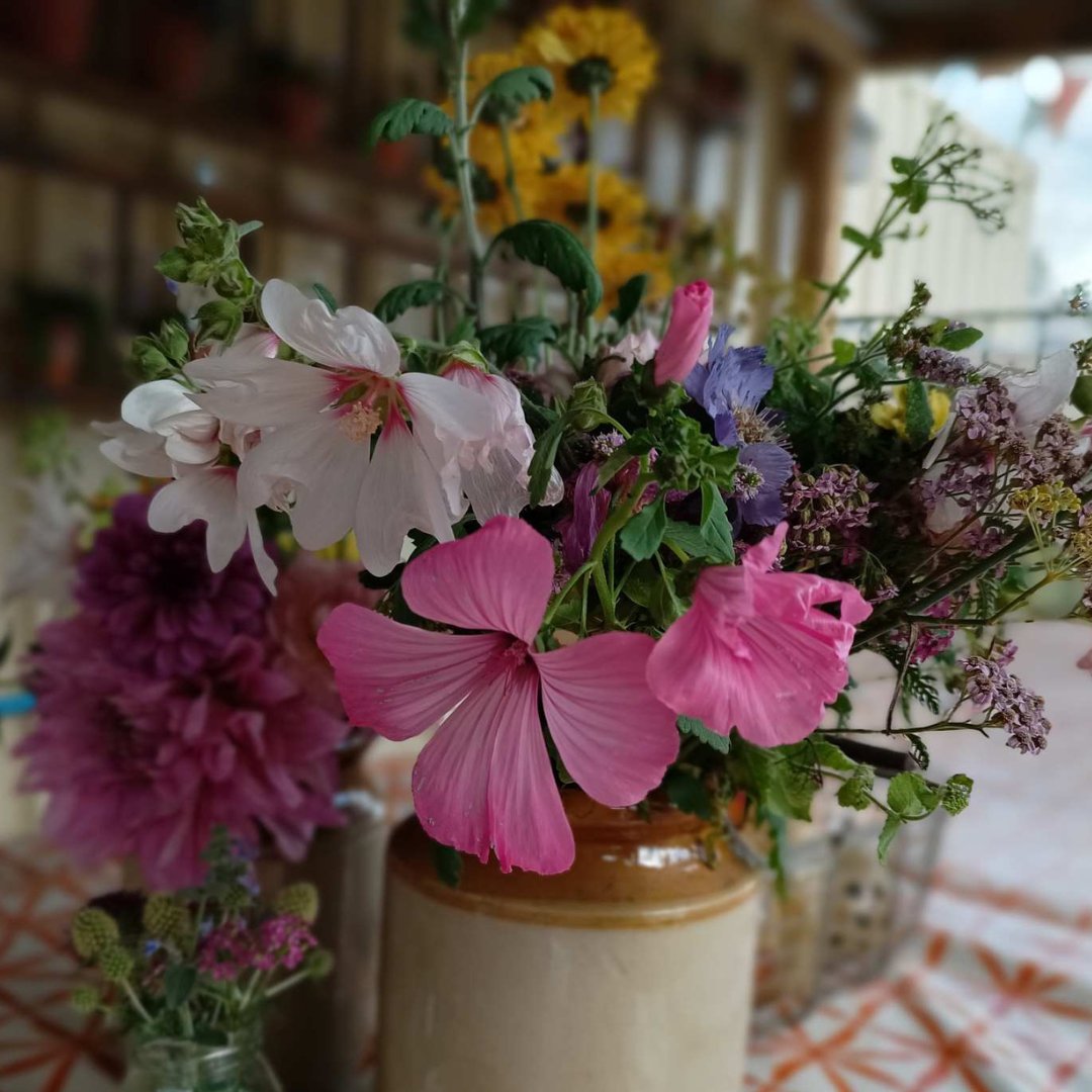 Grow Outside C.I.C. tweet media