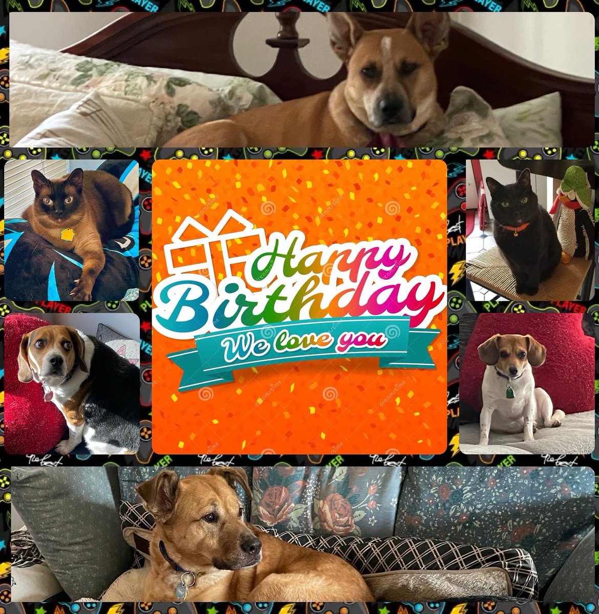 Sherry Reich tweet media