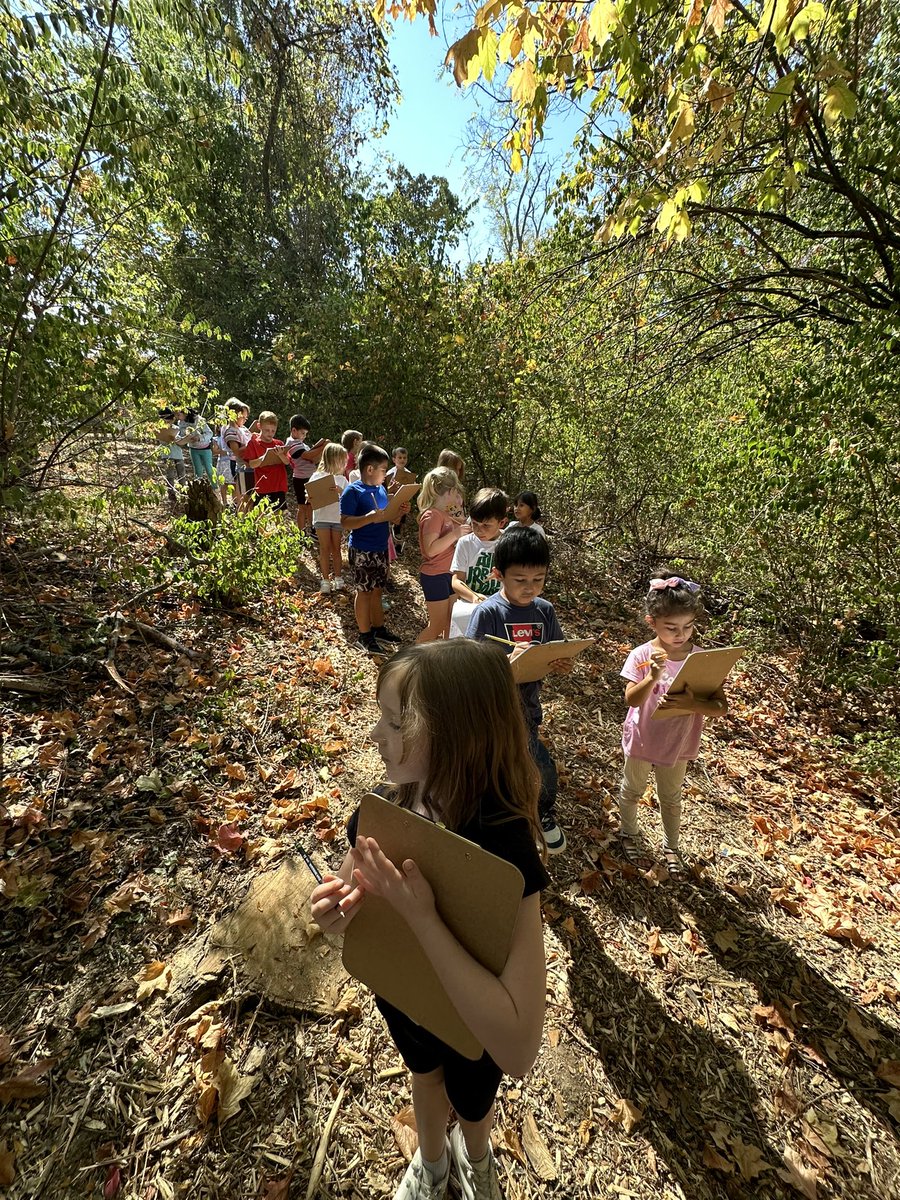 Jessica Contratto tweet media