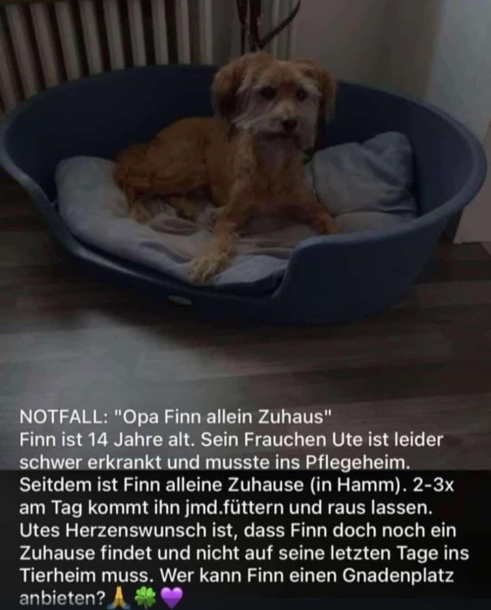 Flori & Konrad tweet media