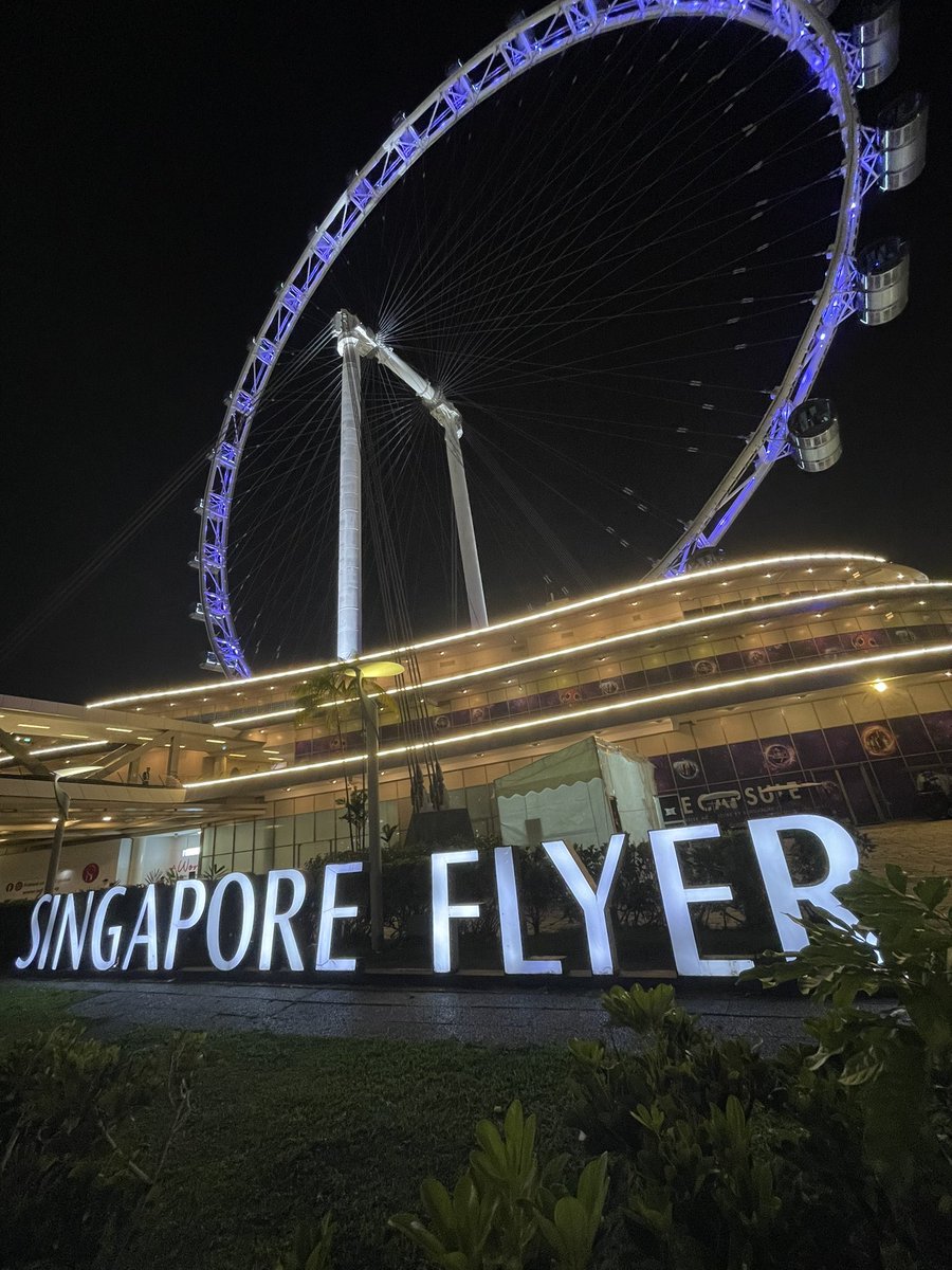 sableavir's tweet photo. Rien de mieux que le #singaporeGP dans une ville extraordinaire @F1NightRace #f1 @toutf1com https://t.co/Gl1bwEDN9y