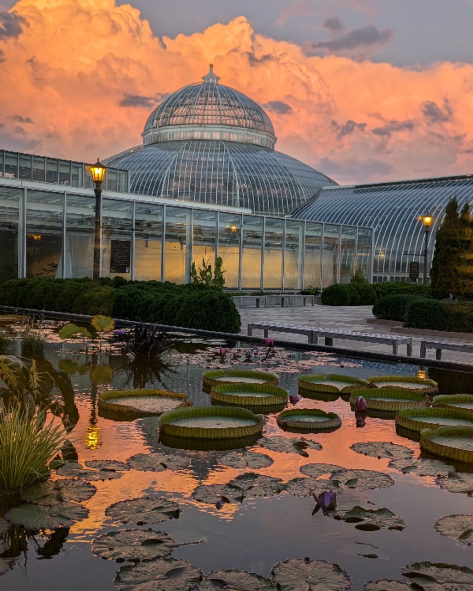 Thank you to everyone who attended Wild Conservation last night! 

📷: Tim B.