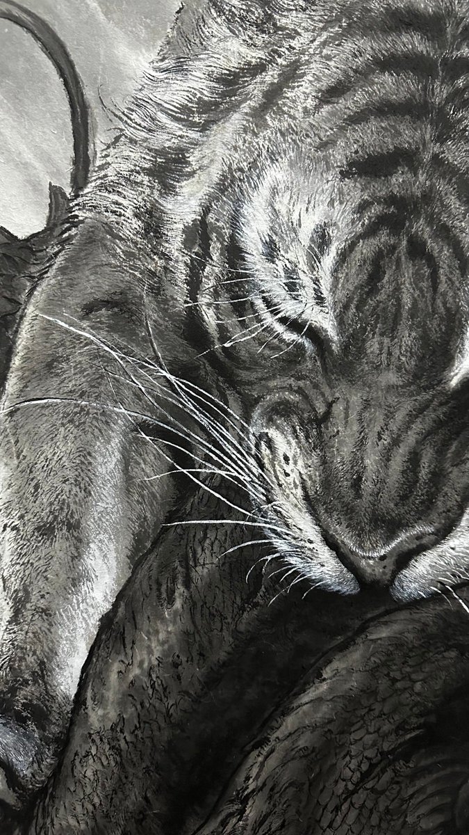 刘冬子 tweet media