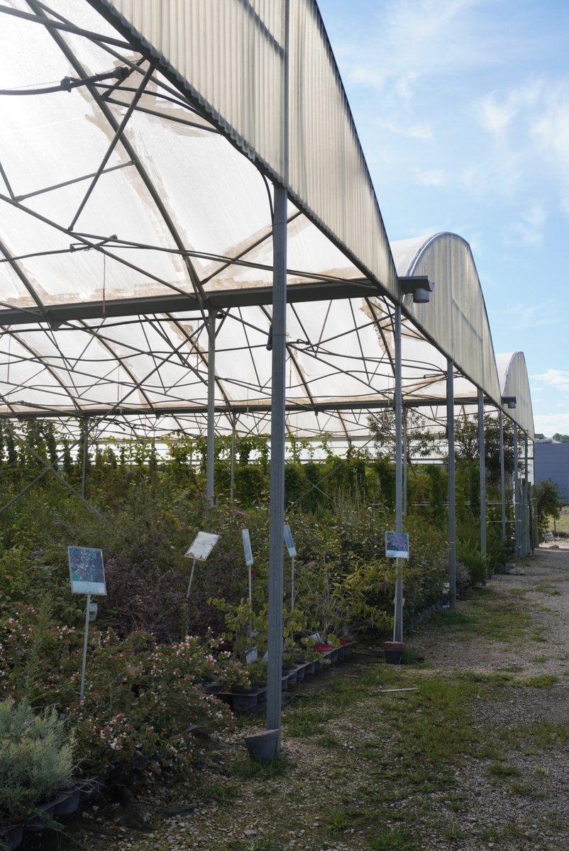 Tour de France (suite) : Le Vaucluse !

💐 Défense de la filière horticole chez un pépiniériste et élu local à Carpentras. 
Aujourd'hui, la filière française de l'horticulture, de la fleuristerie et du paysage est l'un des secteurs les plus employeurs de main d'œuvre. 
(1/4)