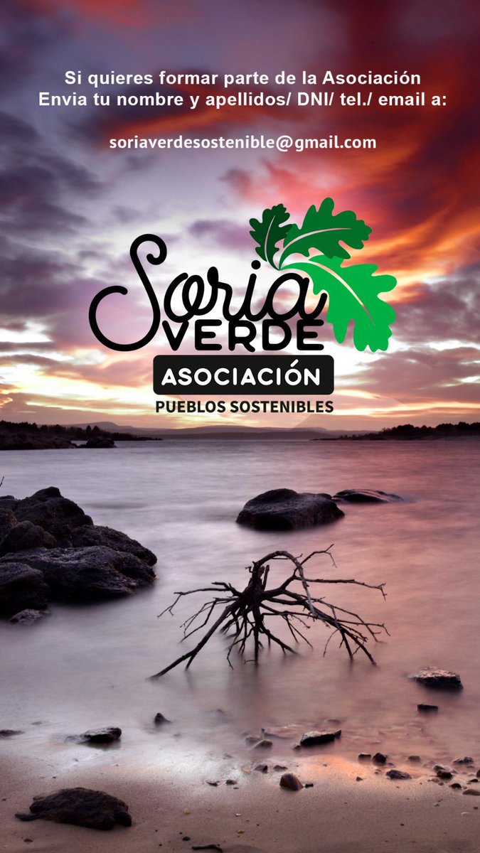 Sr. Arribas tweet media