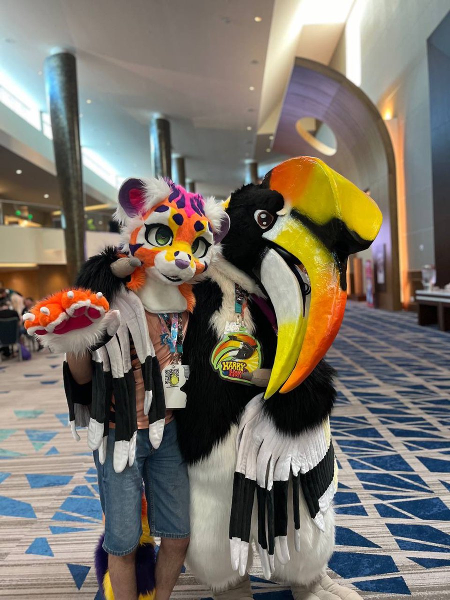 Did you know tigers and hornbills live in the same parts of the world? That’s why I love my tiger pals! 💛

🐯: <a href="/brannytiger/">Sorbet</a> 
#FursuitFriday #Fursuits #Furry #tiger #hornbill