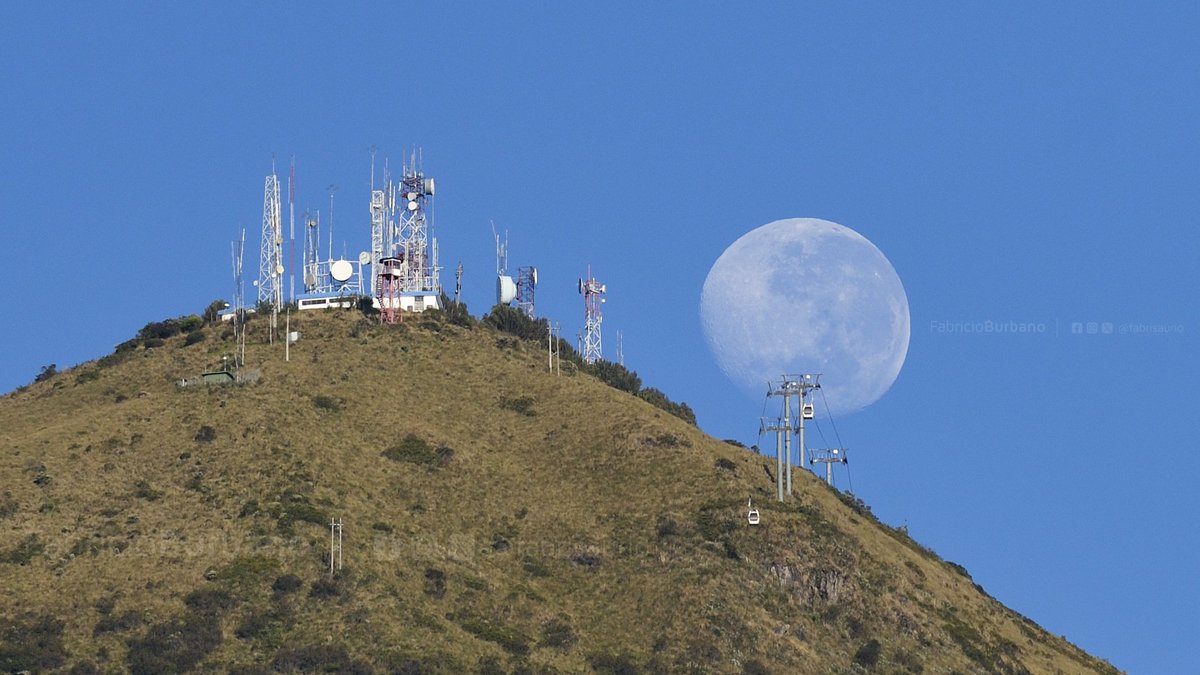 fabricio burbano tweet media