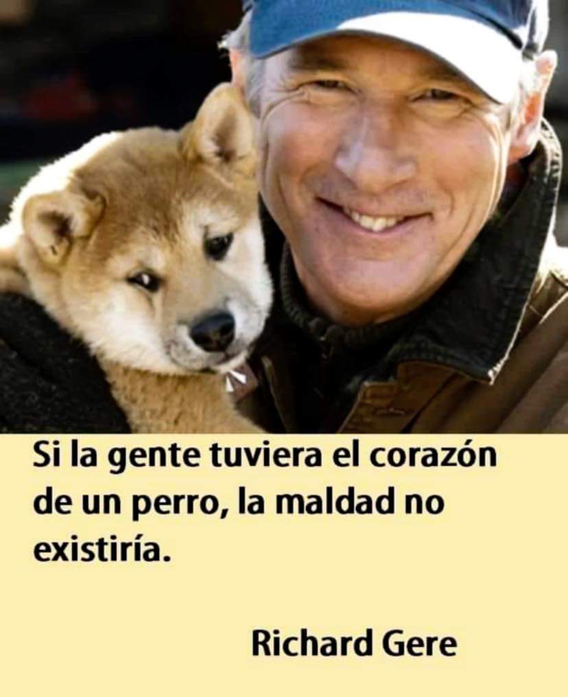 Los animales domésticos son considerados nuestros hermanos menores...