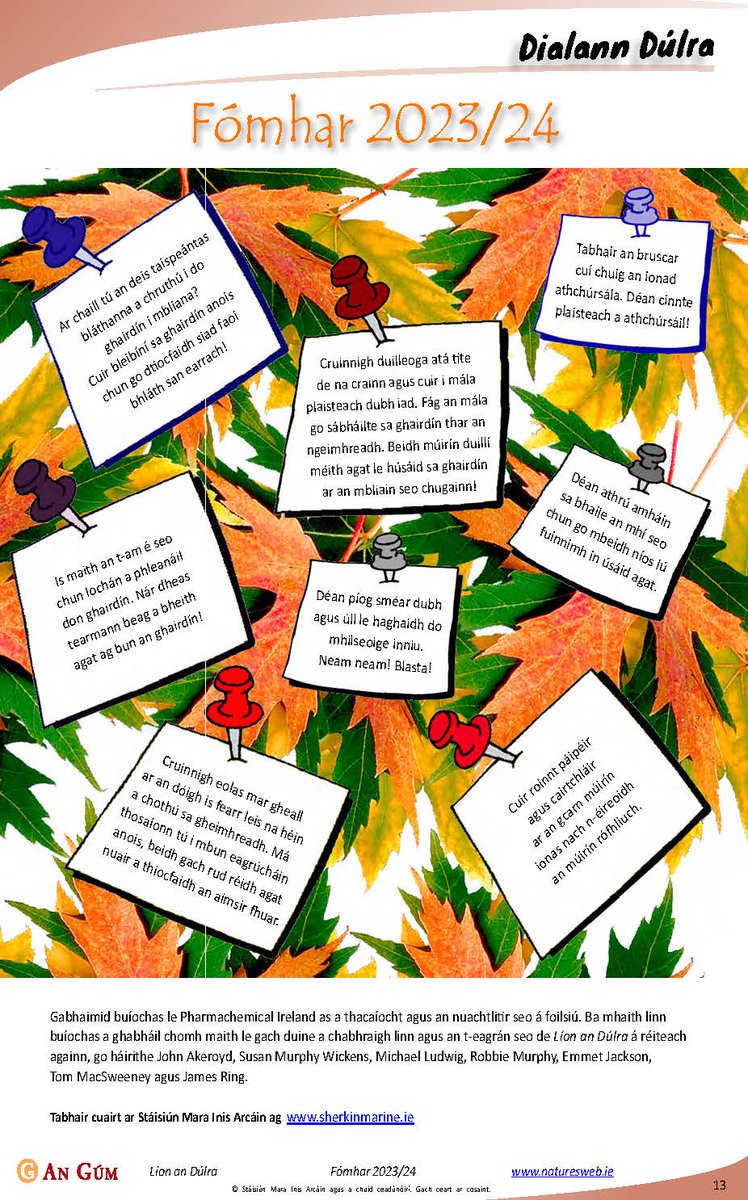LÍON AN DÚLRA
Tá eagrán an fhómhair de Líon an Dúlra ar fáil anois. Mar is gnách tá sé lán le heolas fíor-spéisiúil faoin dúlra anseo in Éirinn agus thar lear, agus tá neart cluichí agus gníomhaíochtaí ann freisin.
Ar fáil ag an nasc bit.ly/3Ce4klz

Bainigí taitneamh as!