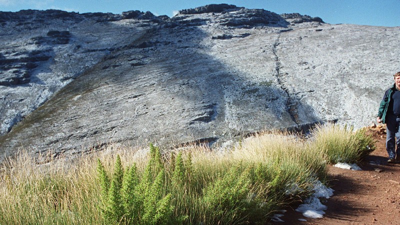 SA Weather Service warns of disruptive snowfall and freezing conditions in several provinces dlvr.it/TDTLcM