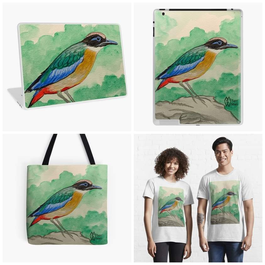 MattStarrFineA1's tweet photo. This is my acrylic painting of the blue-winged pitta on some rocks with some products. https://t.co/9LaDRPjrix
#mattstarrfineart #artistic #paintings #artforsale #artist #myart #dailyart #artoftheday #gift #giftideas #tshirts #homedecor
#bluewingedpitta #pitta #bird #birds https://t.co/eTszPCQUO3