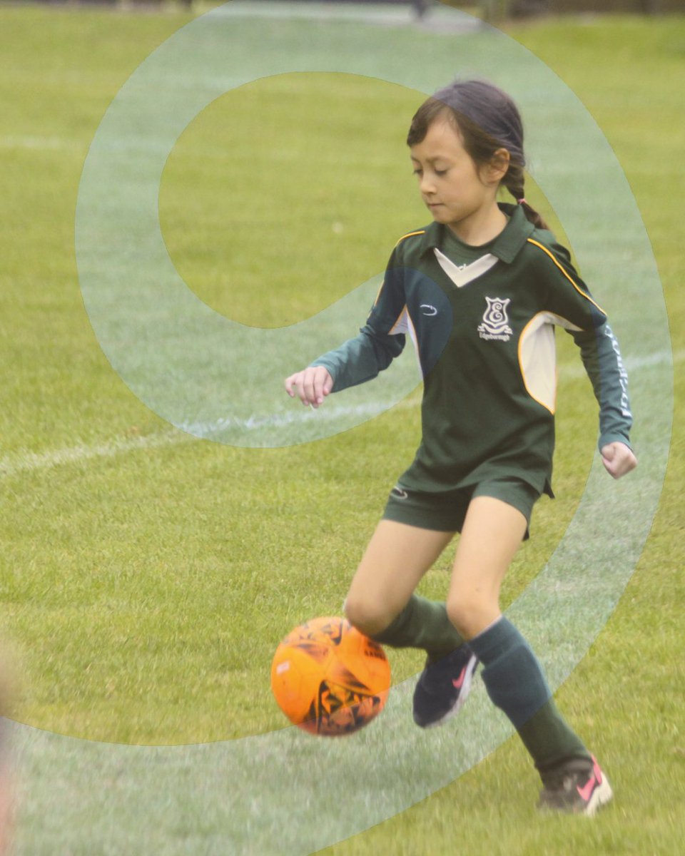 Edgeborough School tweet media