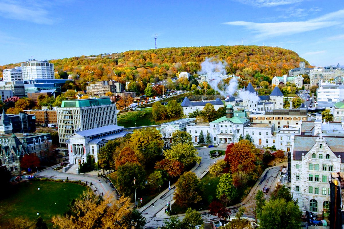 The Gerald Bronfman Department of Oncology is inviting applications for a full-time Clinician-Scientist at the rank of Associate or Full Professor (Tenure Track), based at the McGill University Health Centre. See posting here: bit.ly/4erlIGK