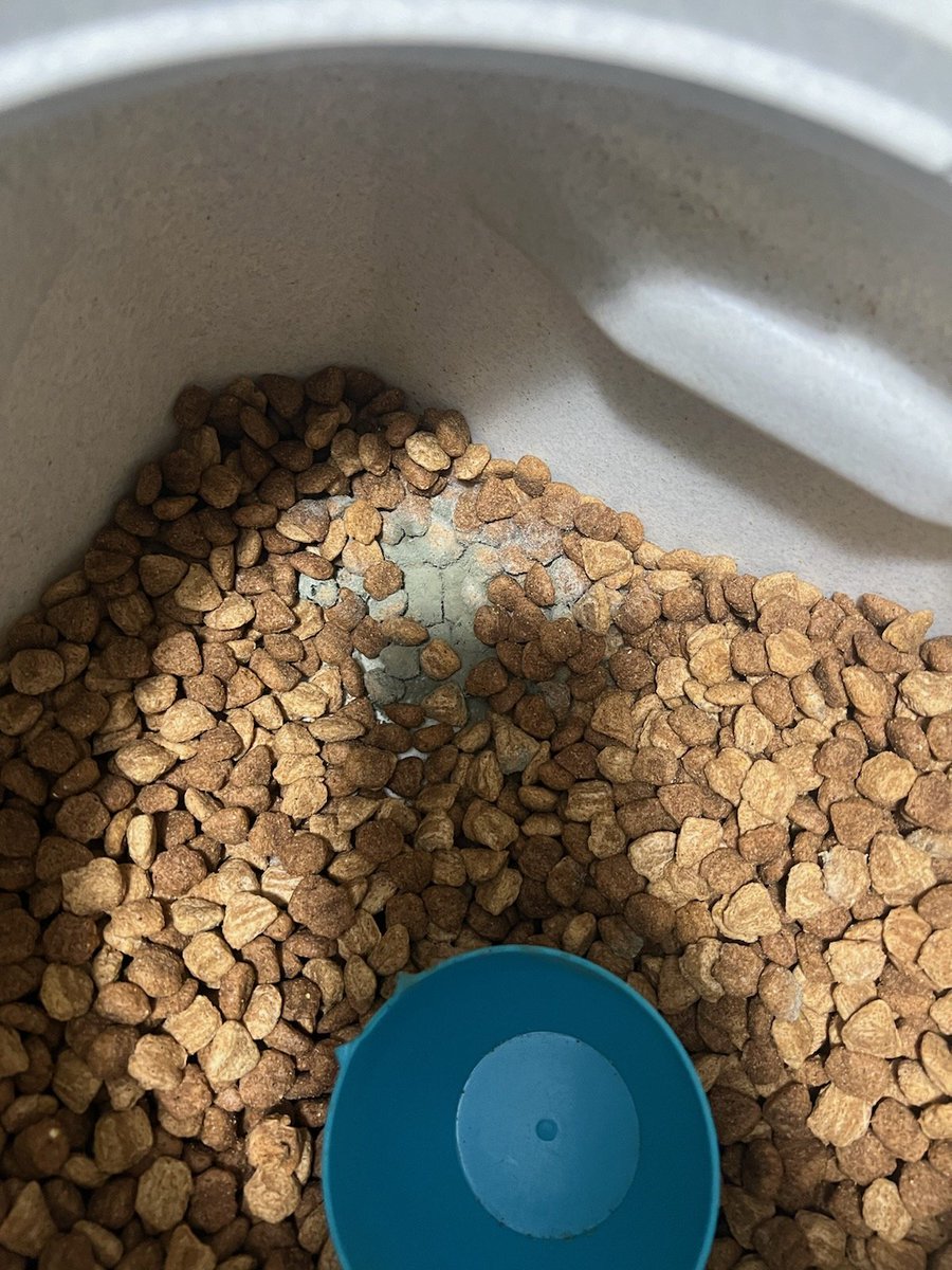 chrissmith1980's tweet photo. @AldiUSA moldy dry dog food? What is this? Not cool! https://t.co/tsOu6vduCD
