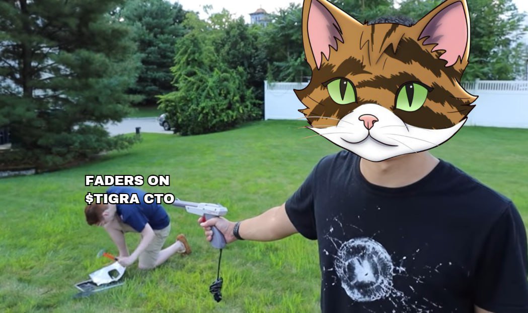 TIGRA CTO tweet media