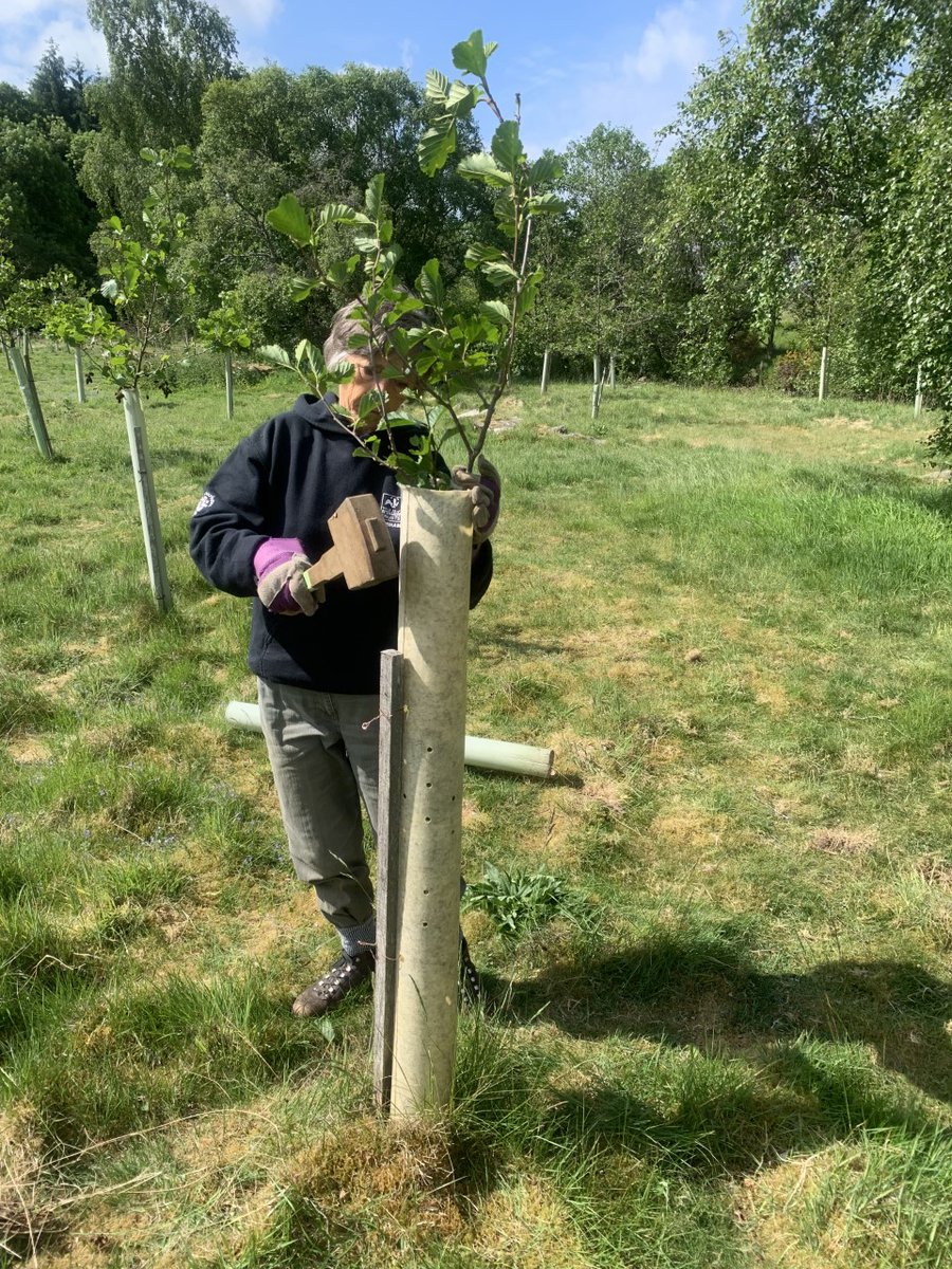 North Pennines National Landscape tweet media