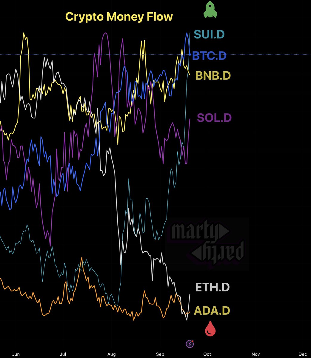 Crypto Money Flow Sept 20th