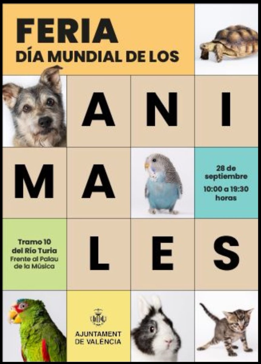 GatitosRuzafa's tweet photo. Estaremos un año más,con carpa y mesa de artículos solidarios, y pondremos a la venta Lotería de Navidad.
Ven a visitarnos y llevate tú regalito. https://t.co/hQm1fRvdHE