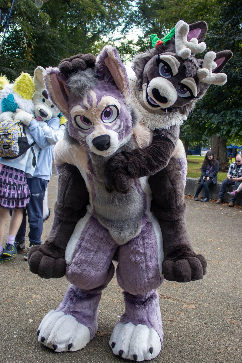 CampionBunny's tweet photo. Happy #FursuitFriday !! Campion has some new flirty eyelids, now she'll be able to convince more people to give her uppies!! 

@TheTriggeredFox

#furry #fursuit #fursuiter #ukfur #fullsuit #jackalope #sotonfur #sotonfurs #furmeet https://t.co/Q1gV9q4fhO