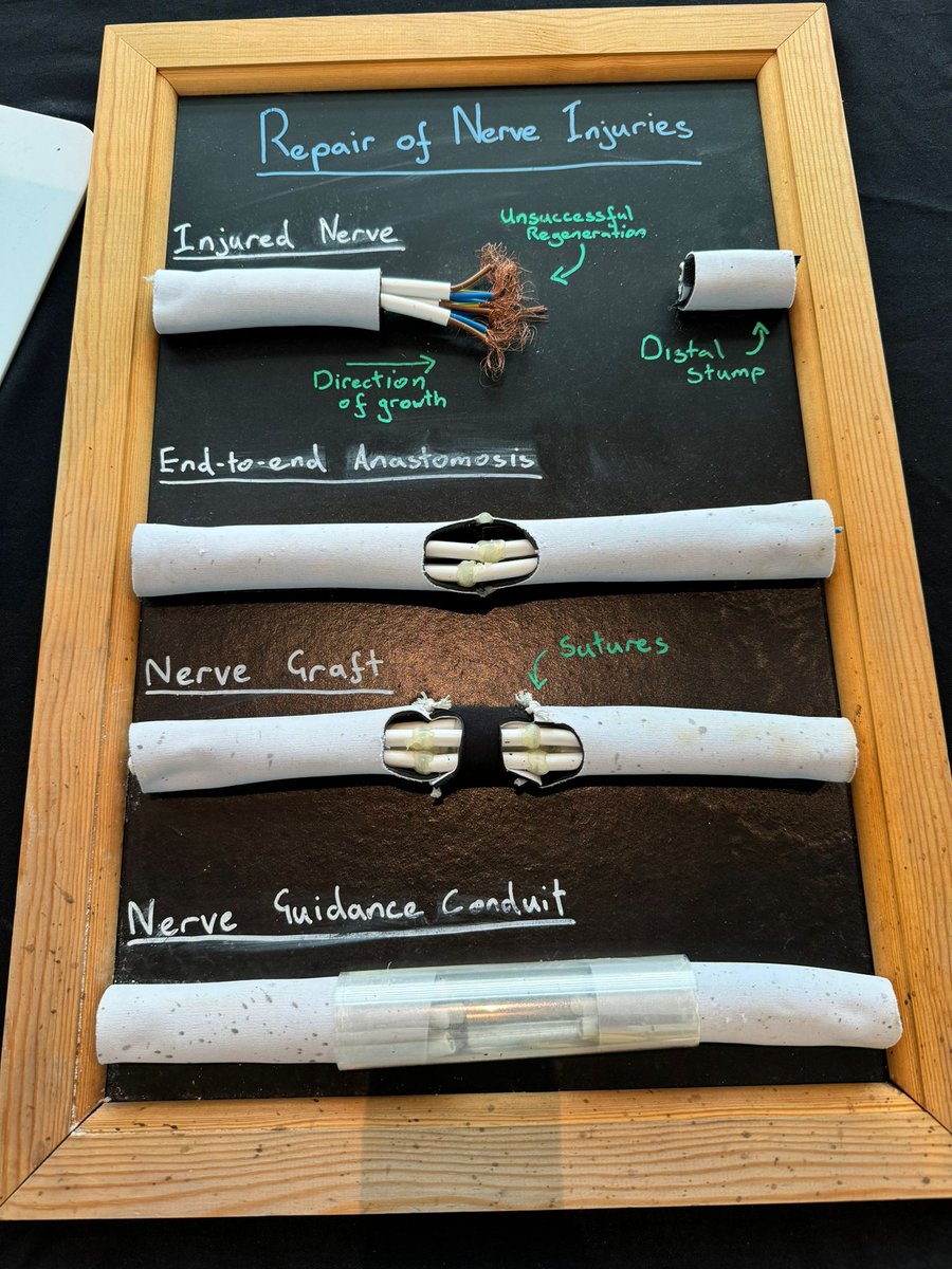 #FestivalofMind is on from September 19-29 2024. Check it out  by following our first ever Insta handle @scienceworldlife