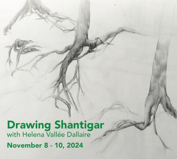 ShantigarORG's tweet photo. Drawing Shantigar, a weekend workshop - https://t.co/b01OcVvWkc https://t.co/LxsKwtv1Xc