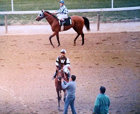 blindadosalas1's tweet photo. #Hipismo El 20/09/1972 CAÑONERO 🇺🇲🇻🇪 con #ElMonstruo GUSTAVO ÁVILA regresó a la senda ganadora en el #StymieHandicap pero ahora con los colores del #KingRanch y BUDDY HIRSCH como su entrenador. Derrotó nada menos que a RIVA RIDGE #DobleCoronado de ese año.
Fotos: @jfarache https://t.co/XJhmKXwPEO