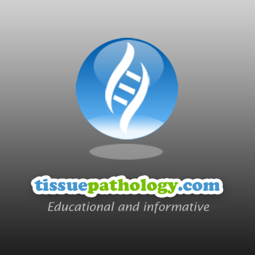 Digi_Pathology's tweet photo. Aiosyn unveils first results of independent clinical study: improved efficiency and consistency in mitosis counting with Aiosyn Mitosis Breast https://t.co/RoYKpPgzMx https://t.co/1I8IM36Rx2