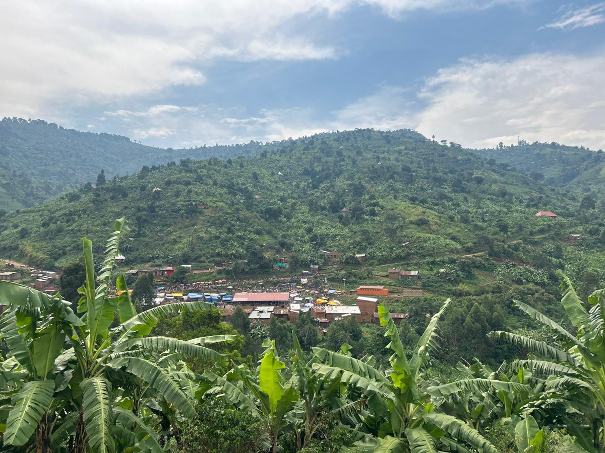 kwezicoffee's tweet photo. Kasangali Market Day. 

Every Friday, the village of Kasangali in the Kasese mountains transforms into a bustling marketplace. Coffee farmers gather to trade, purchase essentials, and connect with their neighbors, set against stunning mtn views. 

#community  #kwezicoffee #kasese https://t.co/JDVA77SCZK