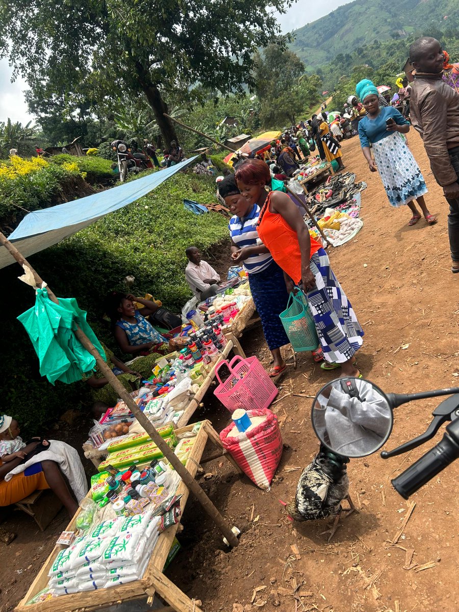 kwezicoffee's tweet photo. Kasangali Market Day. 

Every Friday, the village of Kasangali in the Kasese mountains transforms into a bustling marketplace. Coffee farmers gather to trade, purchase essentials, and connect with their neighbors, set against stunning mtn views. 

#community  #kwezicoffee #kasese https://t.co/JDVA77SCZK