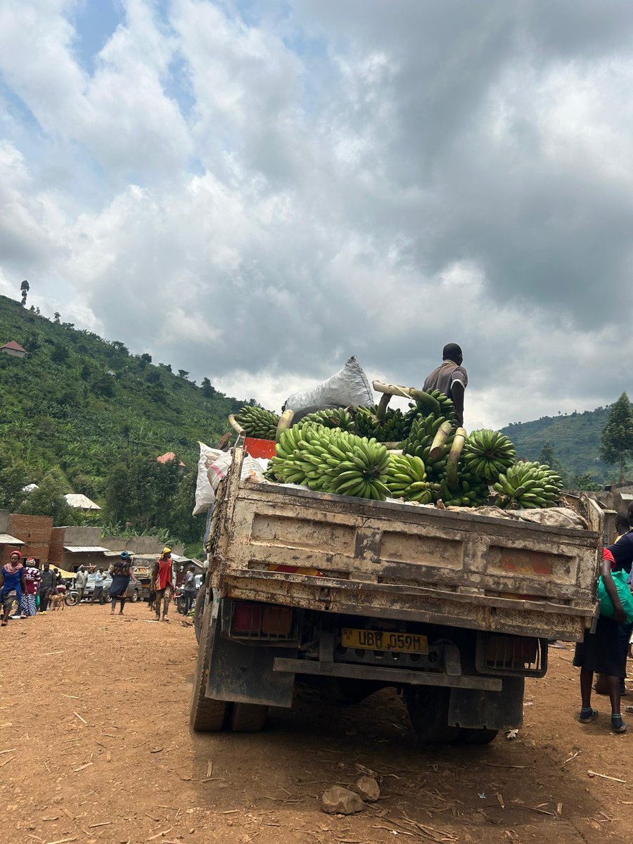 kwezicoffee's tweet photo. Kasangali Market Day. 

Every Friday, the village of Kasangali in the Kasese mountains transforms into a bustling marketplace. Coffee farmers gather to trade, purchase essentials, and connect with their neighbors, set against stunning mtn views. 

#community  #kwezicoffee #kasese https://t.co/JDVA77SCZK