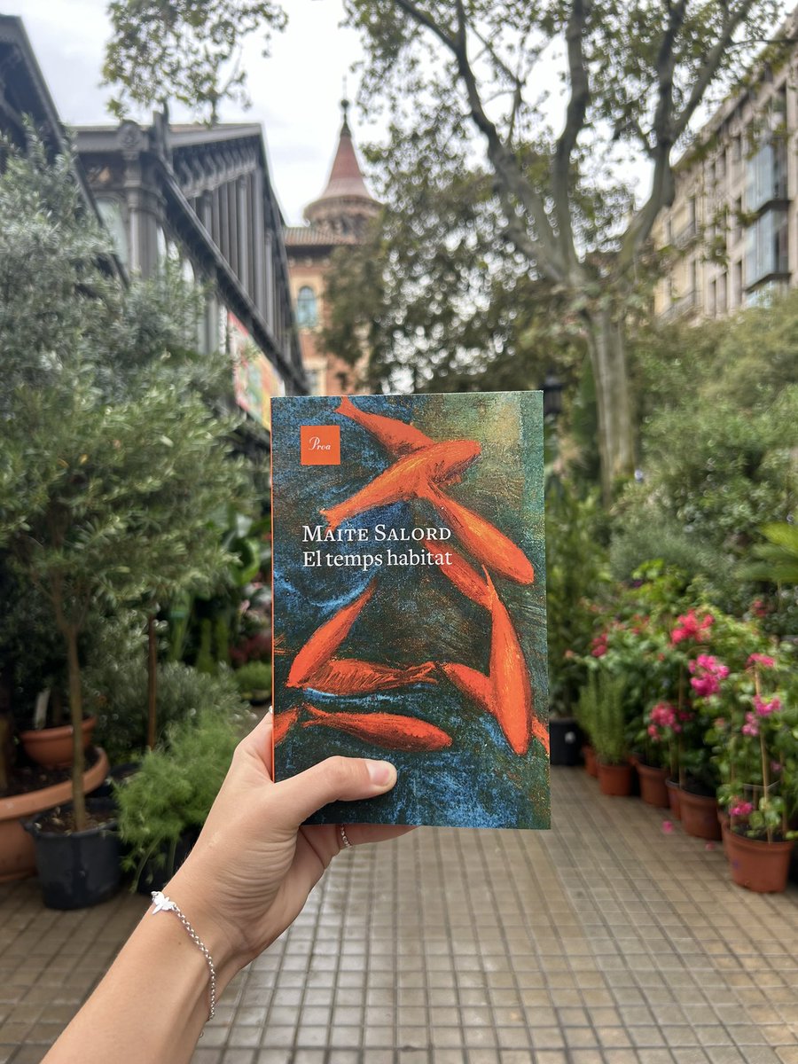 itsemmanancy's tweet image. Jo ja el tenc! Voltros el tindreu dia 25 a llibreries 📖🧡 @MaiteSalord