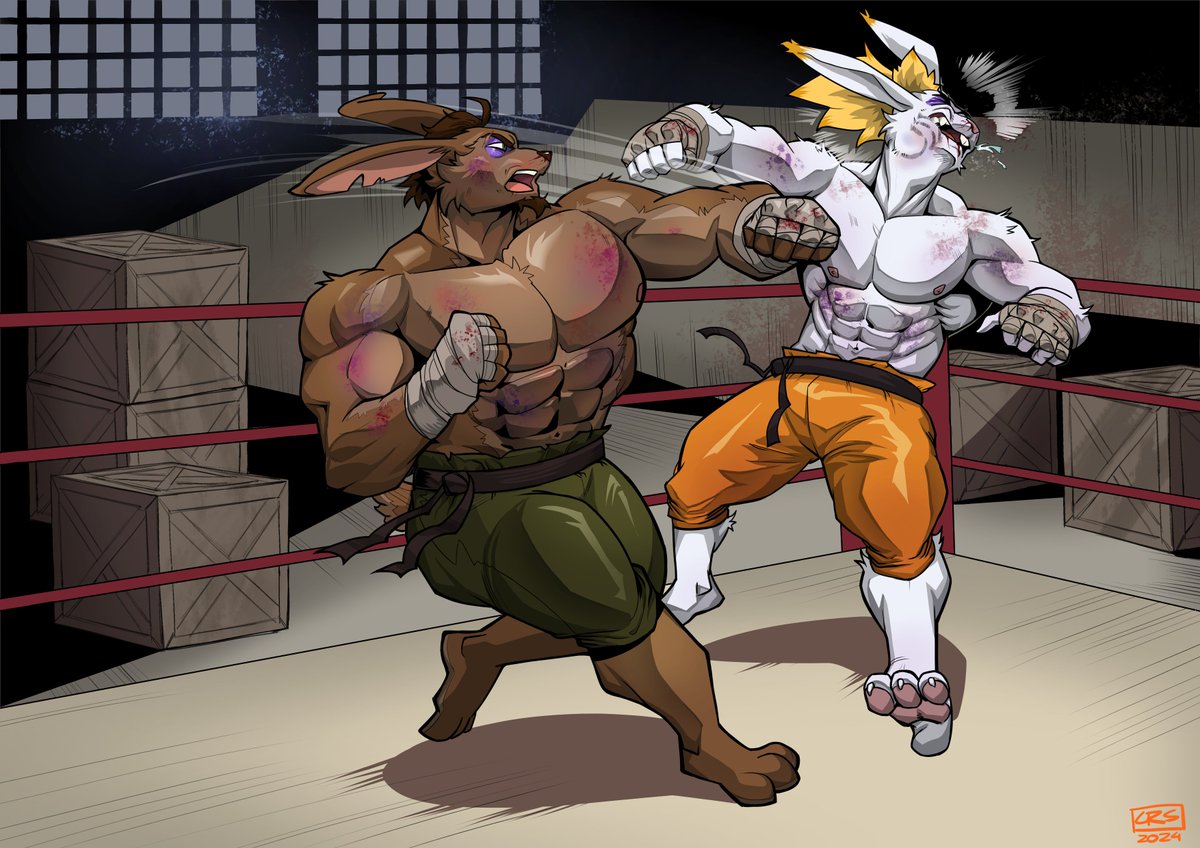 Bareknuckle Underground ✊🩹🤕🐰