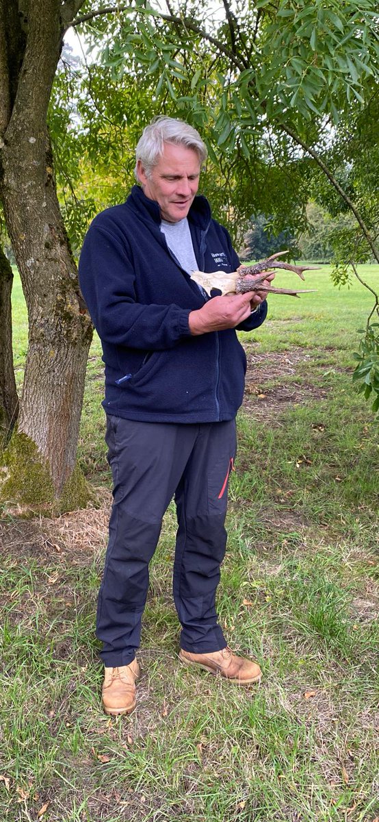 Howardian Hills National Landscape tweet media