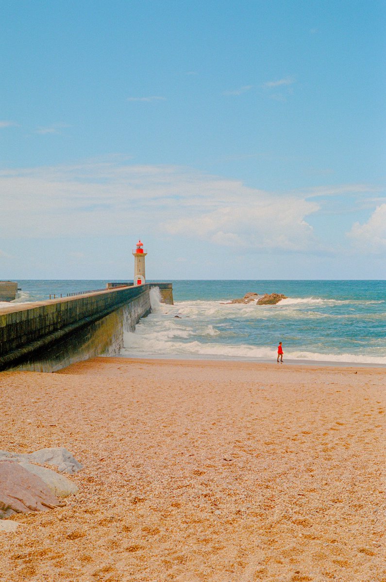 Alex Kittoe tweet media