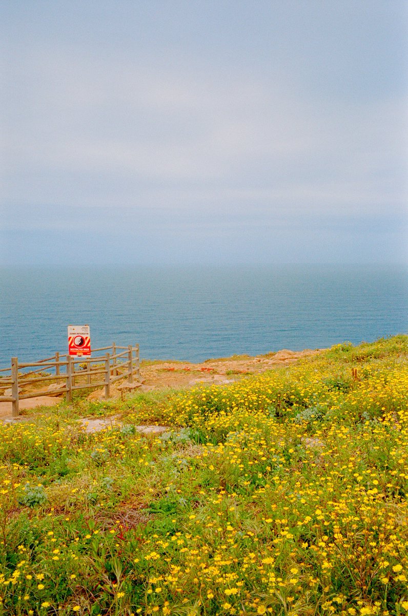 Alex Kittoe tweet media