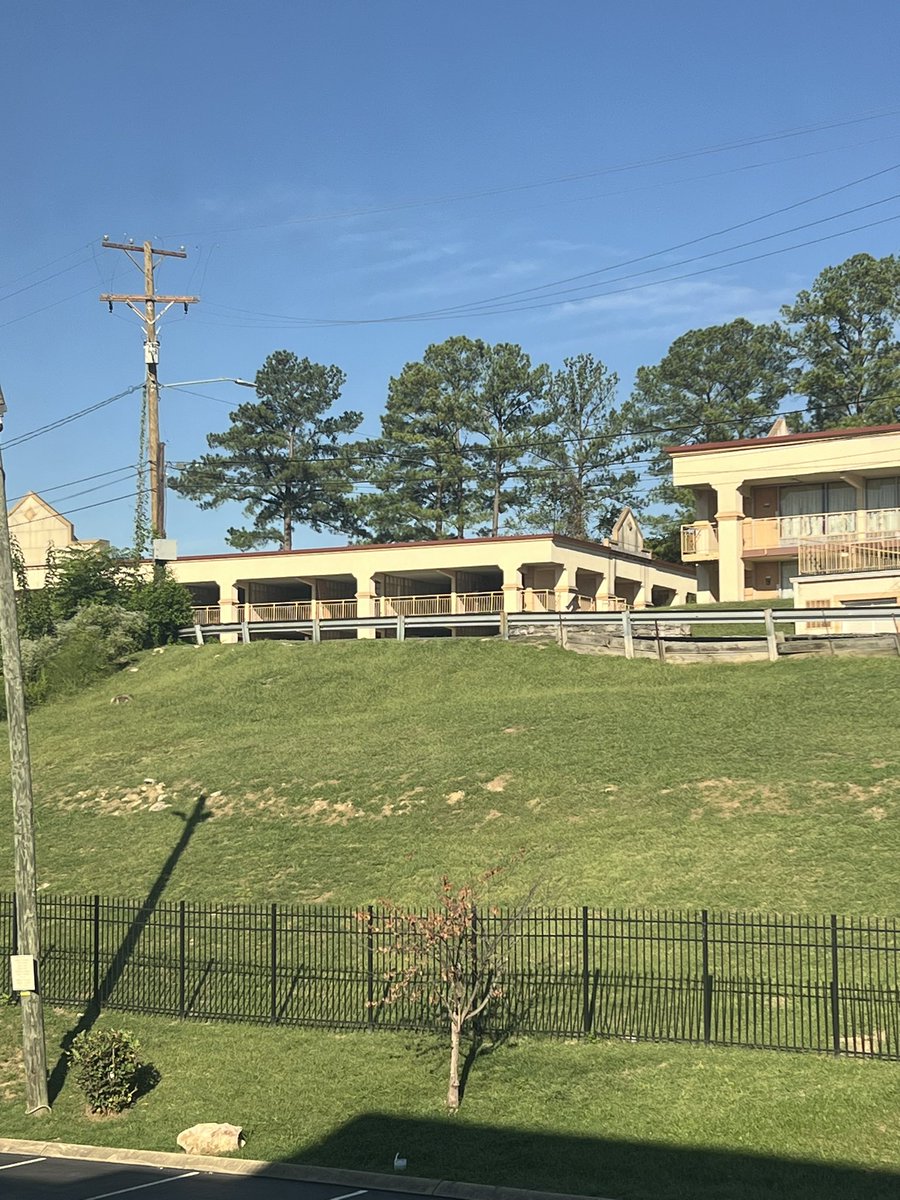 Ben Lambers tweet media