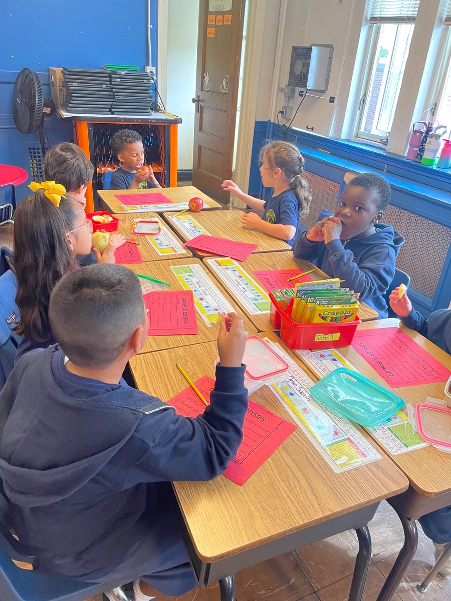 Bwatson_ics's tweet photo. Apples! Apples! Using our senses to describe our apples! 🍎 @icschool_online @mrsdangelo_ICS @ARCHNY_OEC https://t.co/05it4fIAOW