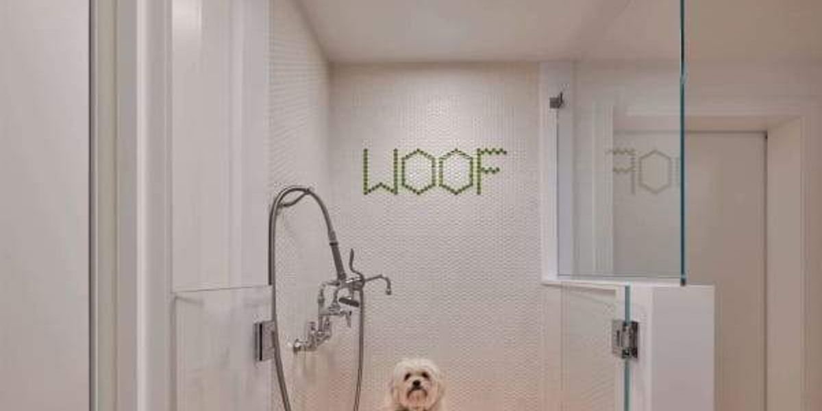 Grooming stations and catios among top pet-friendly home upgrades in U.S. austin.culturemap.com/news/home-desi…