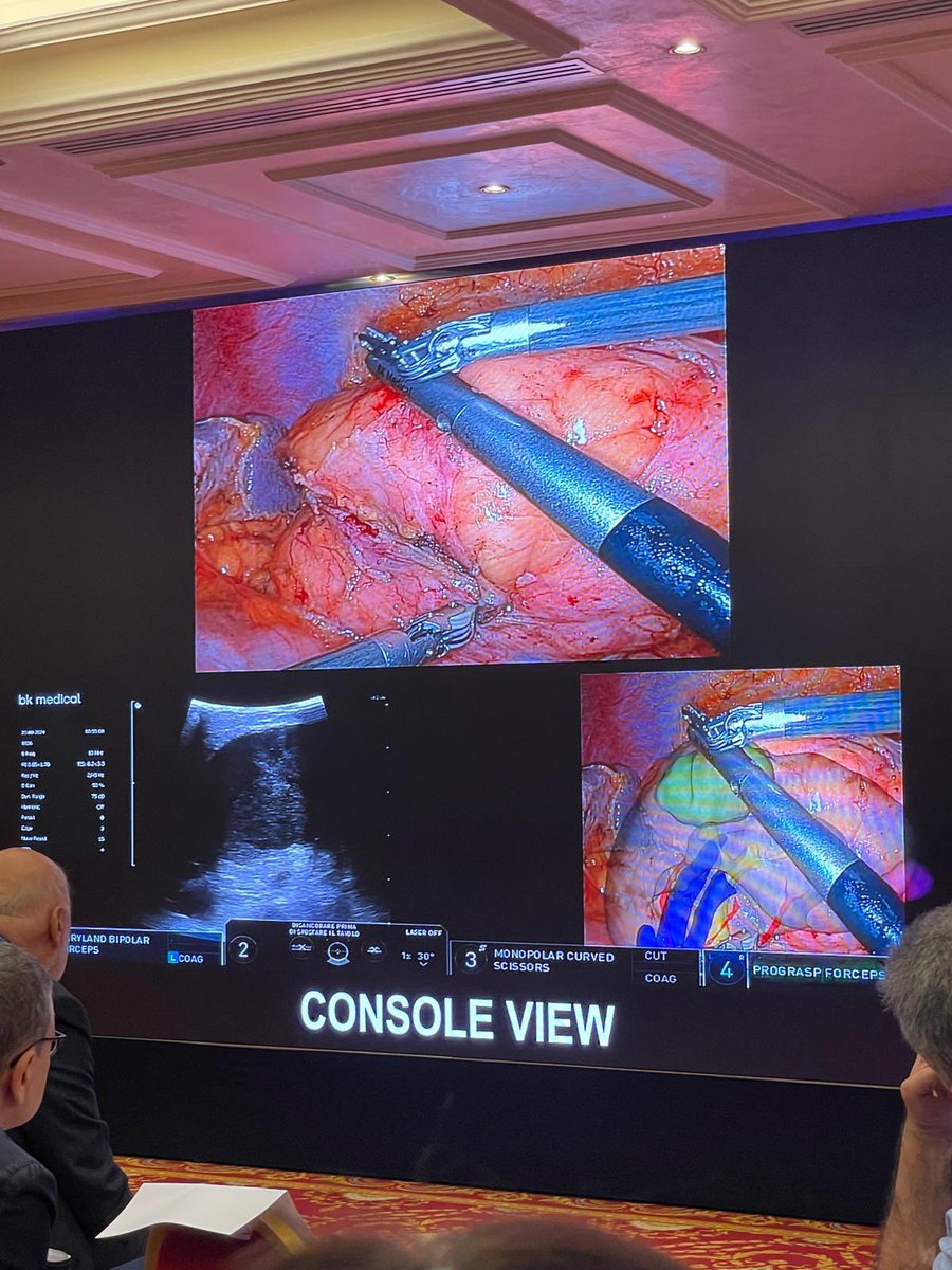 Angelo Mottaran tweet media