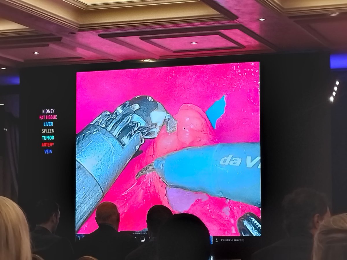 Angelo Mottaran tweet media