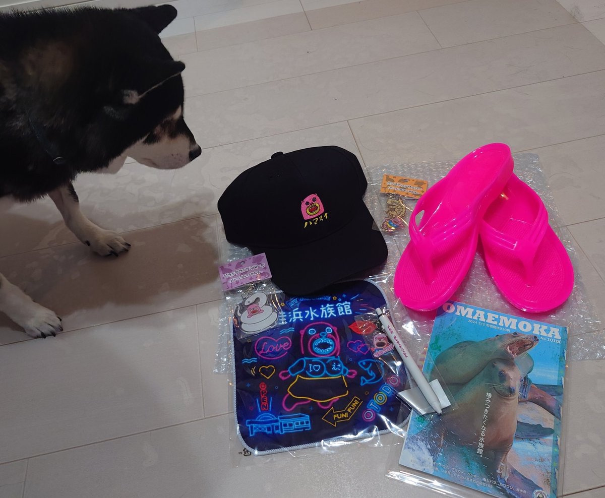sunsetbeach3104's tweet photo. 今日は自分から自分へのプレゼントが届いた♡
#重課金 #Hamazon #omaemokaの手作り感が好きすぎる問題 https://t.co/K9Kf8e0djQ