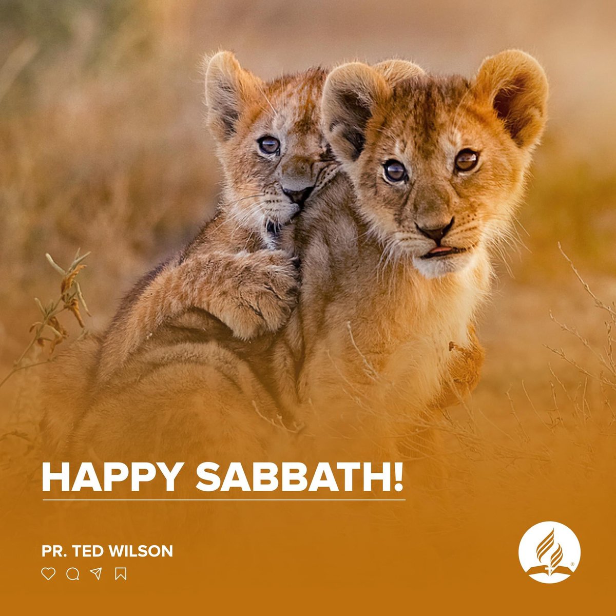 pastortedwilson's tweet photo. Happy Sabbath!

#Sabbath #HappySabbath https://t.co/uW6lXm4l3I