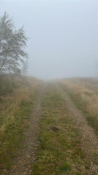 We spoke too soon. All groups are powering through the fog 👀