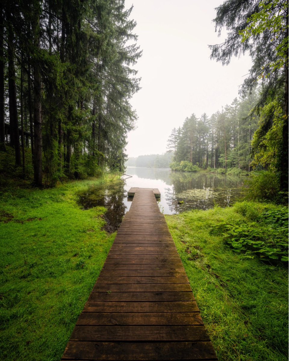 📍Boughton Park — This week’s #ROCTopShots winner, with most online votes, is <a href="/BrandonSprung/">Brandon Sprung</a> 🌲💦 #roc